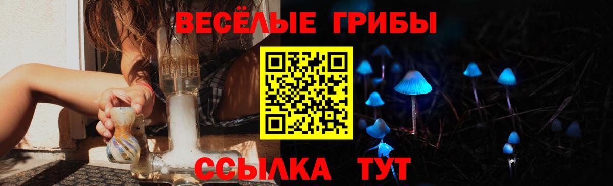 Псилоцибиновые грибы Cubensis  Вход с VPN  где продают   Усть-Джегута  Псилоцибиновые грибы мухоморы 